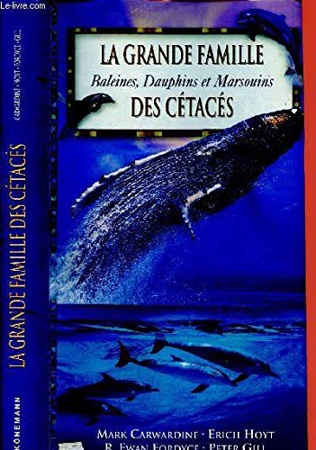 La grande famille des cétacés