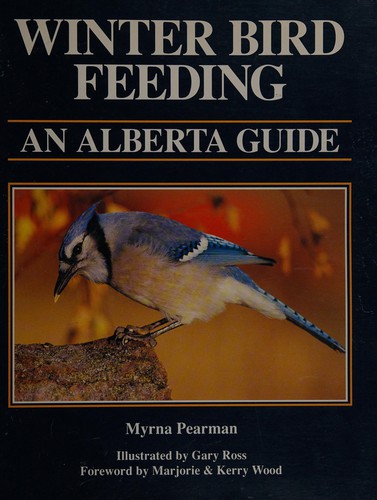 Winter Bird Feeding