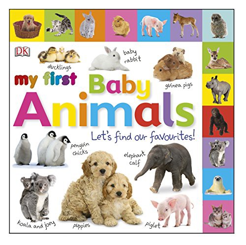 My First Baby Animals.