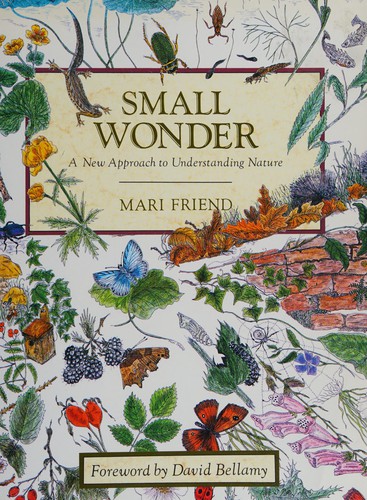 Small Wonder