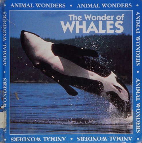 The wonder of whales