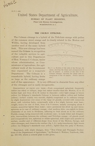The Colman citrange