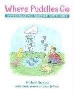 Where puddles go
