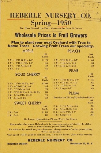Spring 1950