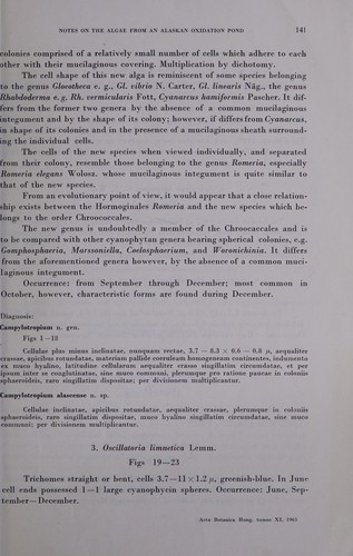 Notes on the algae from an Alaskan oxidation pond with the description of a new genus