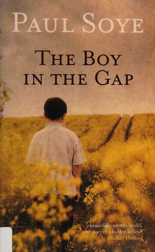 The boy in the gap
