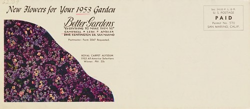 New flowers for your 1953 garden