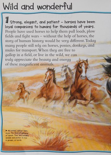 Horses and Ponies