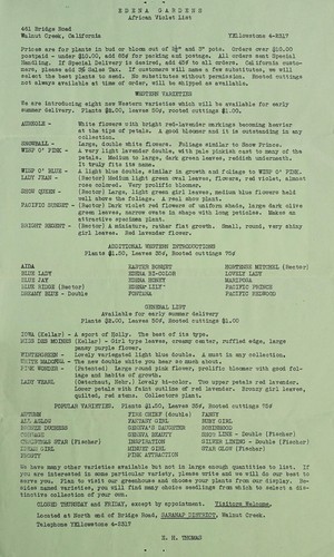 African violet list