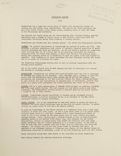 Dendrobium listing