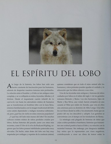 Es Spirit of the Wolf