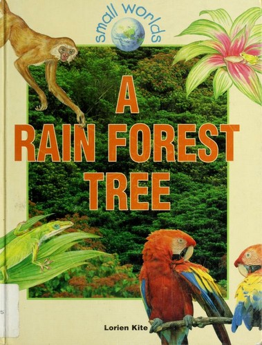 A rain forest tree