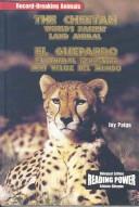 The cheetah