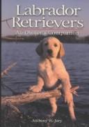 Labrador Retrievers