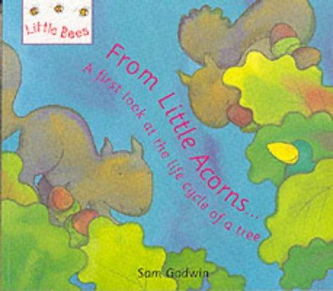 From Little Acorns (Little Bees)