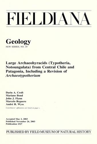 Large archaeohyracids (Typotheria, Notoungulata) from central Chile and Patagonia