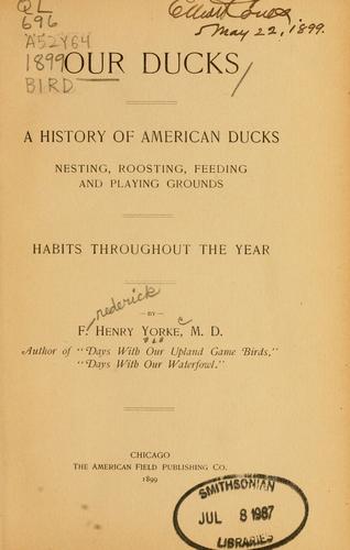 Our ducks
