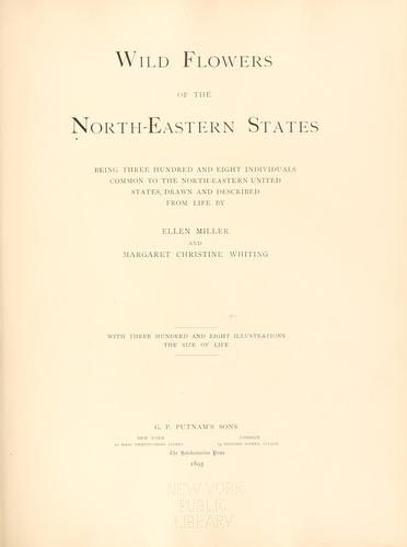 Wild flowers of the north-eastern states