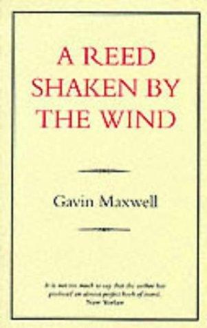 A reed shaken by the wind
