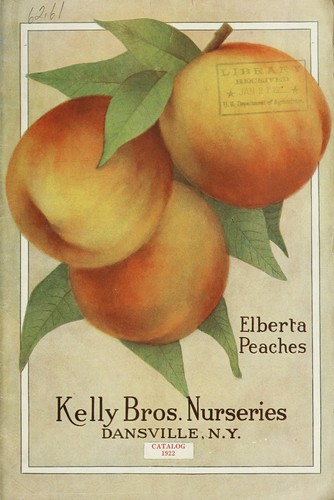 Catalog 1922