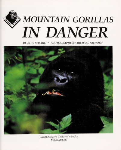 Mountain gorillas in danger