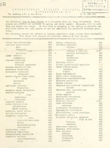List of rock plants