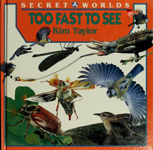 TOO FAST TO SEE (Secret Worlds)