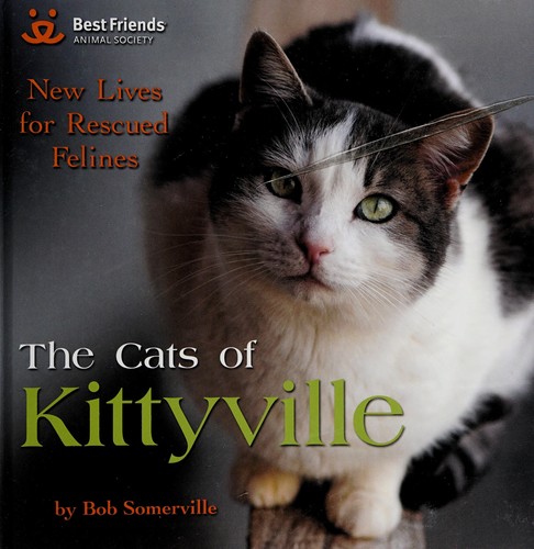 The cats of Kittyville
